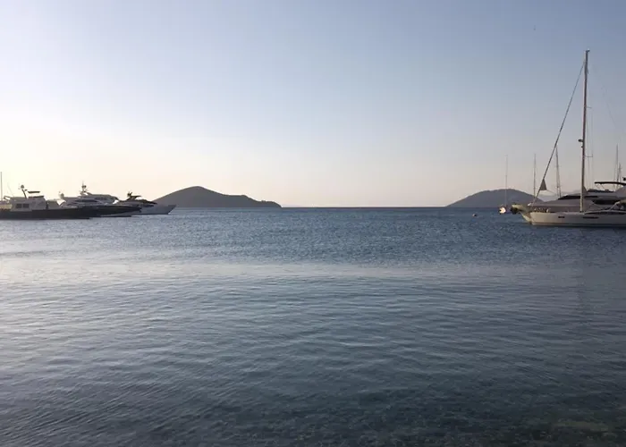 Lejlighed Theodore's Mansion Your Aristocratic Escape In Greece Panteli